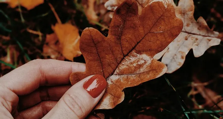 September Nails: Your Passport to Autumn’s Attitude