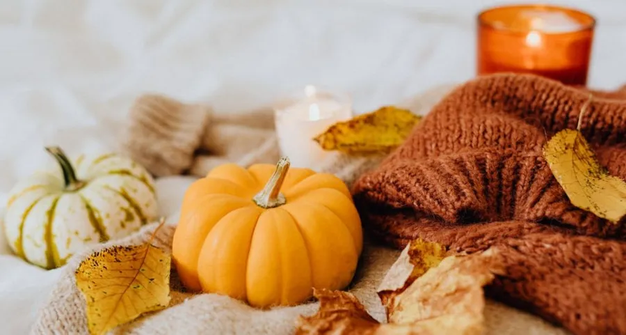 Cosy Fall Aesthetic: Your Room-by-Room Guide to the Ultimate Autumn Sanctuary