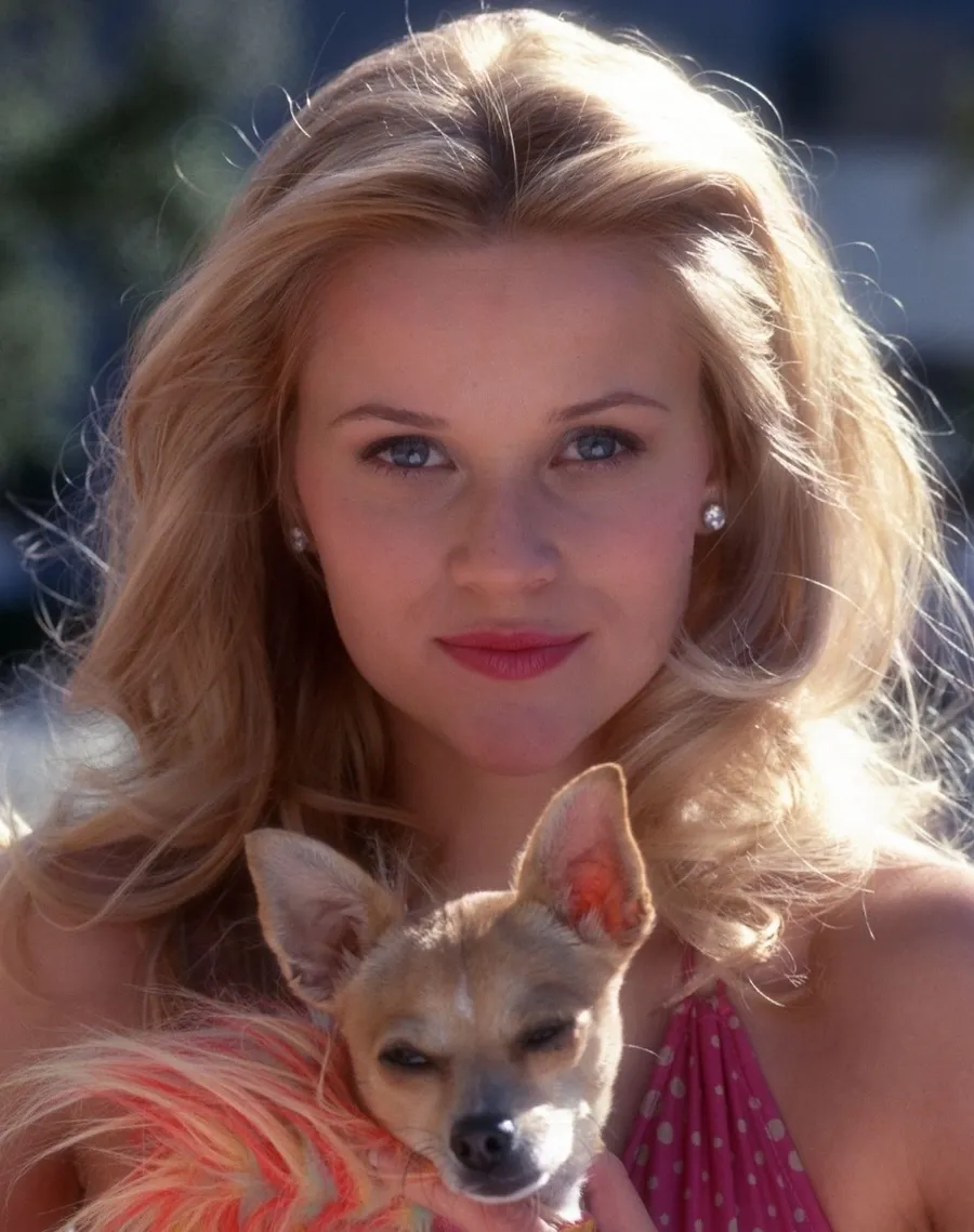 Reese Witherspoon’s Legally Blonde Prequel Elle Set to Premiere on Amazon Prime in 2025