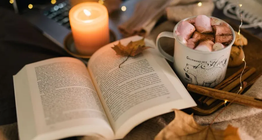<p>Discover 25 ways to make the most of fall, from cosy fashion trends and seasonal recipes to thrilling books, haunted house tours, wellness tips, and more. Embrace the magic of the season!</p>