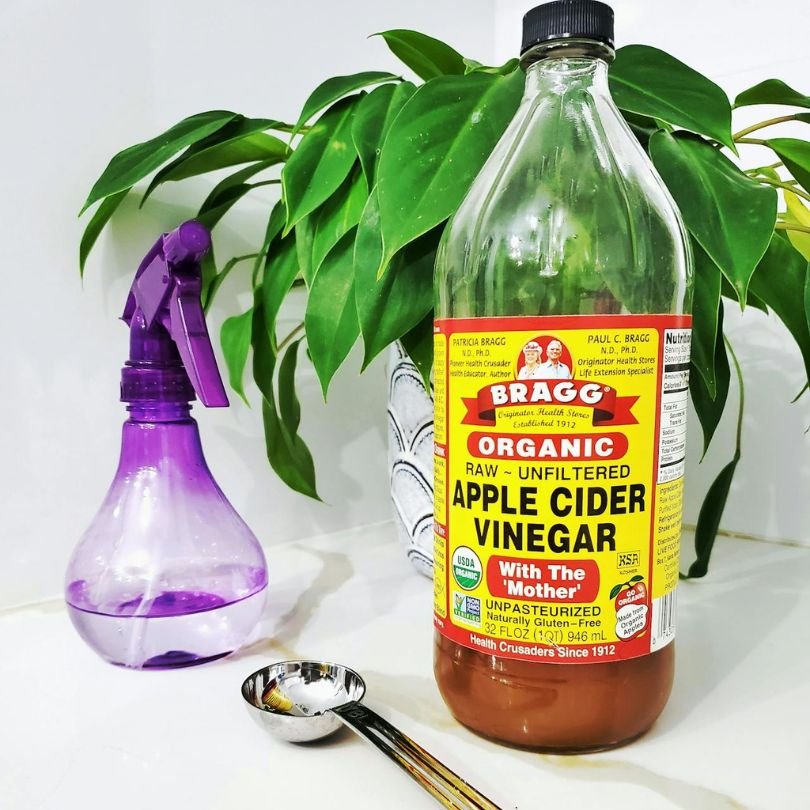 From Green Juices to Netflix: How Belle Gibson's Story Exposes Our Obsession with Wellness Culture