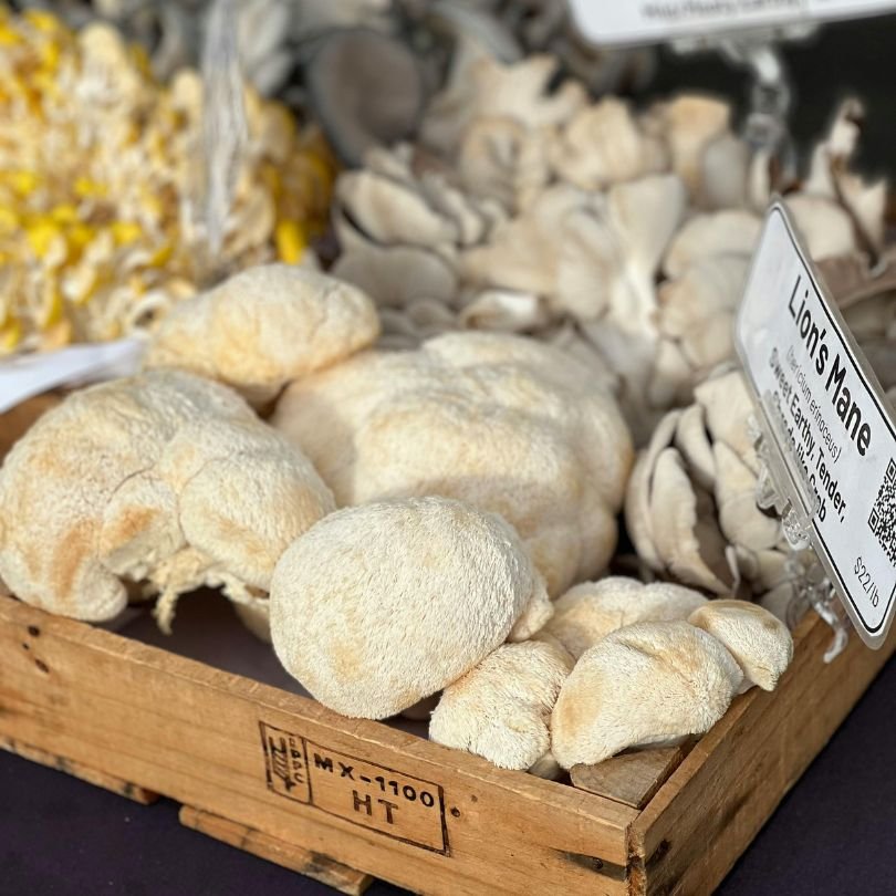 Lion’s Mane, Hot Pilates and the Wellness Trends Britain Actually Swears By in 2025