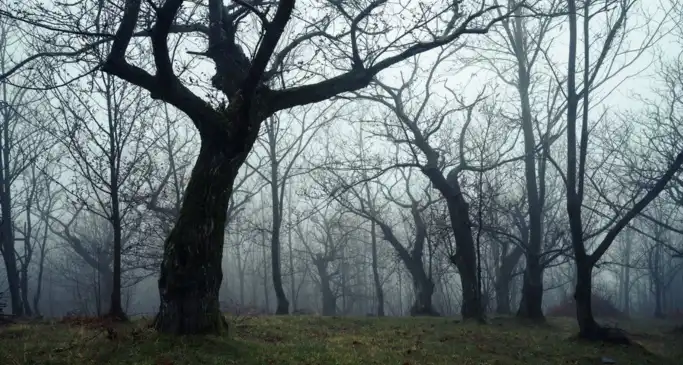 Scary films that aren't gory: horror for people who hate horror
